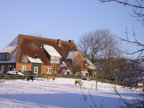 Apartamento Landhaus Op de Warft