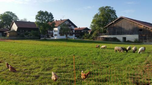 Woidhauserhof