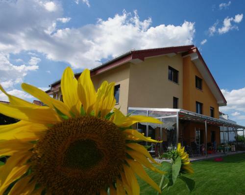 Apartamento Moderne Ferienwohnung In Wagh�usel