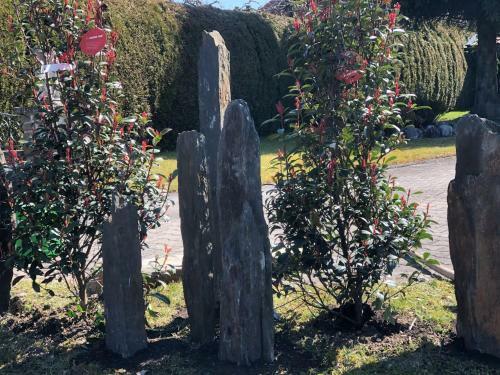 Seeh�uschen - Waging Tettenhausen