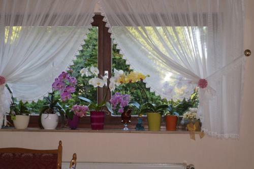 Hostal Pension Kordula Straub