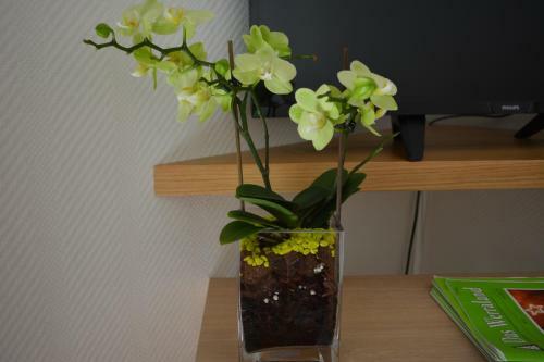Apartamento Villa Bellevue