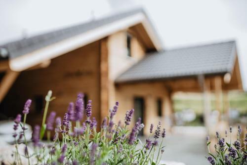 Villa Edersee-chalet