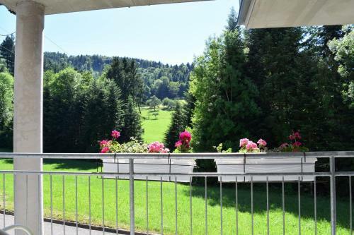 Apartamento Ferienwohnung Im Dettenbachtal
