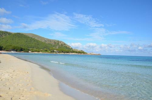 Villa Finca Son Blat