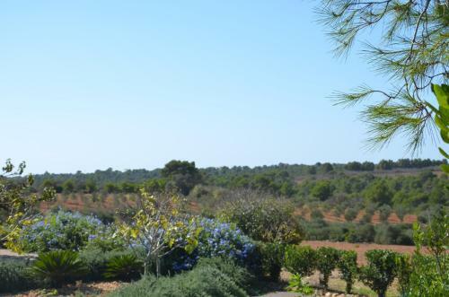 Villa Finca Son Blat