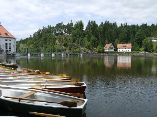 Ferienhaus Nr 8d, Feriendorf Hagb�gerl, Bayr Wald