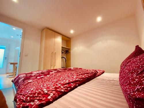 Modernes Apartment Am Bodensee