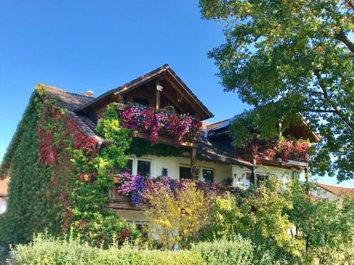 Apartamento Bergblick