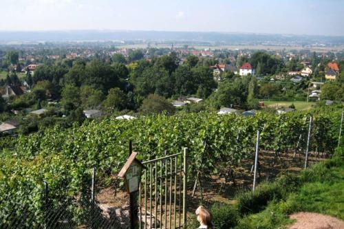 Apartamento Ferienwohnung Weinb�hla