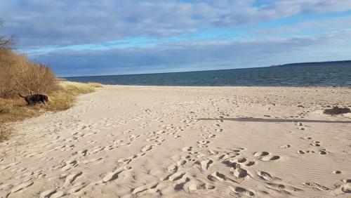 Apartamento J�ger`s Ferienwohnung An Der Ostsee