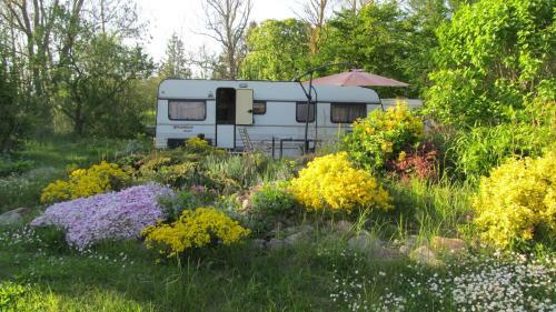 Apartamento Am Wolfsbach 5