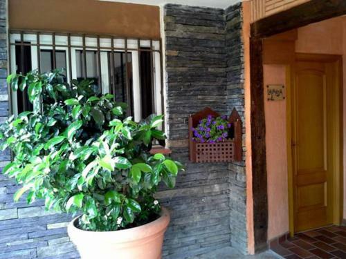 Apartamento Roqueo De Chavela