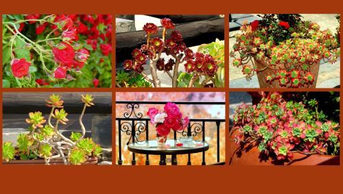 Hotel Los B�rchules