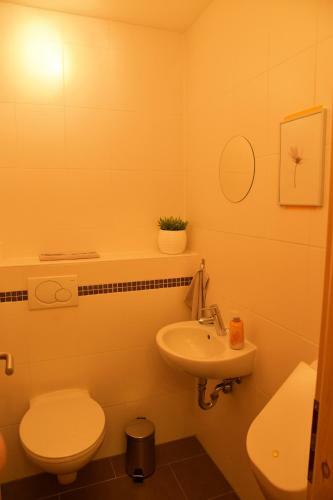 Apartamento Haus Alpenrose Zum Vic