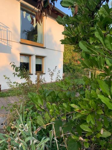 Apartamento Wertheimer Gast -mit Sauna-