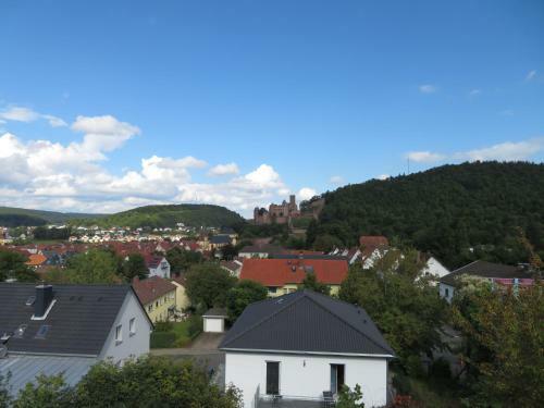 Apartamento Ferienwohnung Panorama
