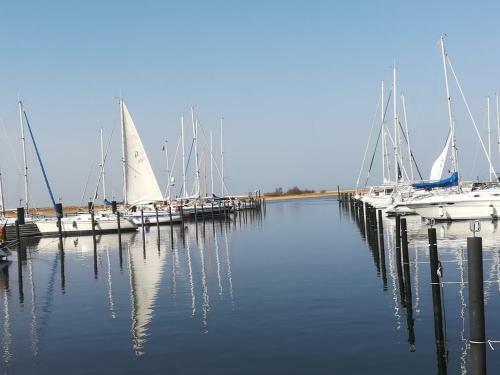 Apartamento Ferienwohnung Marina Wendtorf