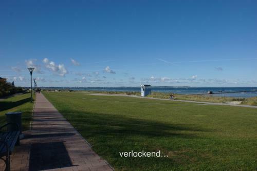 Apartamento Whg Silberm�we - Haus Nordlichter