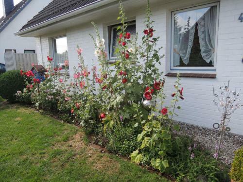Apartamento Goden Wind 4