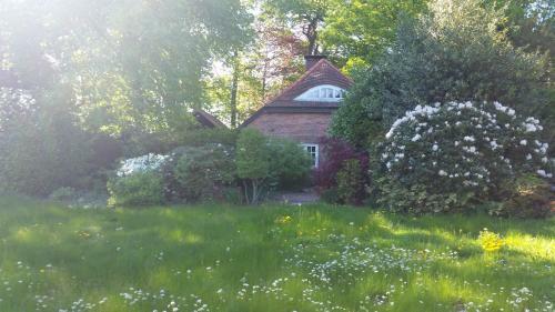 Apartamento Ferienwohnung Morgensonne