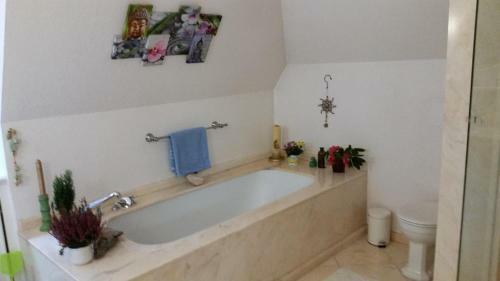 Bed & Breakfast Zimmer Mit Gartenblick