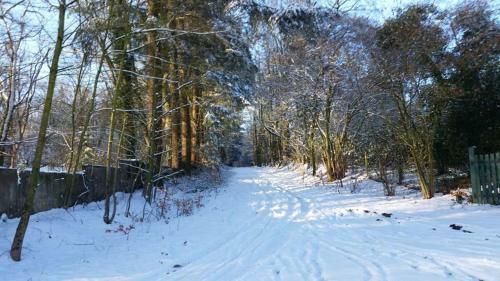 Bed & Breakfast Zimmer Mit Teichblick