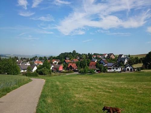 Apartamentos Ferienwohnung Maifeld