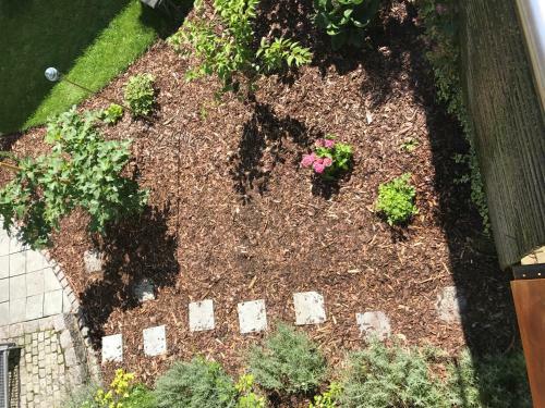 Apartamento Blackbird�s Nest