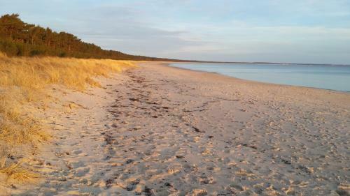 Ostseehaus Odin Doppelhaush�lfte