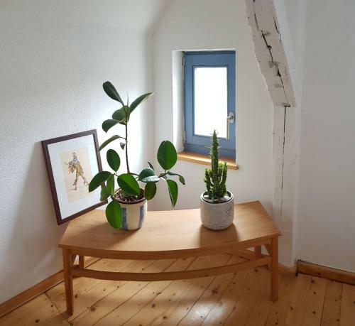 Hering Fewo II Apartment Balcony