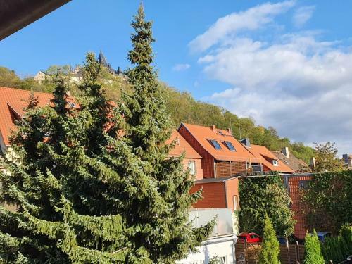 Apartamento Zum Schluckspecht