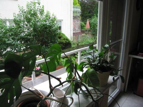 Apartamento Ferienwohnung Vogelsang
