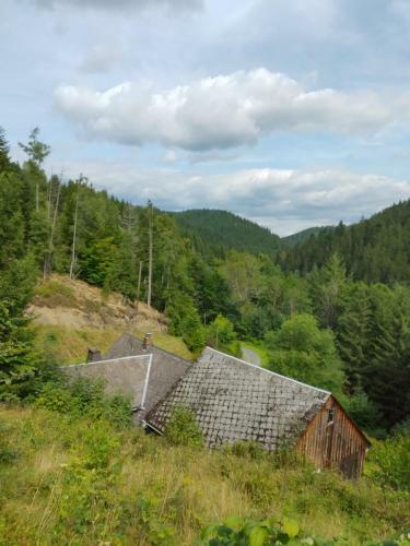 Ferienhaus Zur Kunigunda