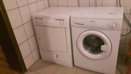 Elf Echte Elfen