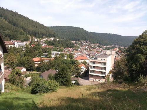 Apartamento Ferienwohnung Tannenwald