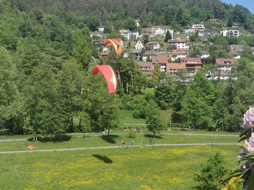 Apartamento Appartement Herrlich