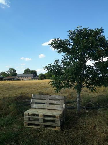 Bed & Breakfast Bingers Kleine Scheune