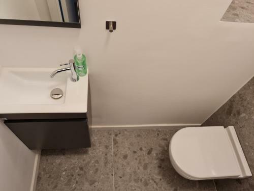 Apartamento Traum-ferienwohnung Mozart !