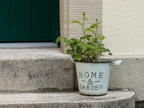 Apartamento Haus Bley