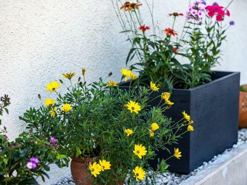Apartamento Ferienwohnung Morgensonne