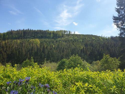 Apartamento Ferienhaus Waldblick