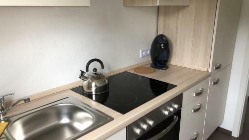 Apartamento Fewo Berg Idyllika