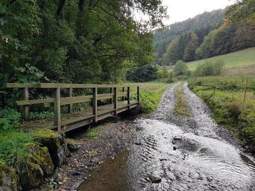 Apartamento Panoramablick Willingen Schwalefeld