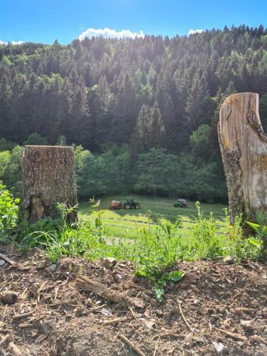Apartamento Panoramablick Willingen Schwalefeld
