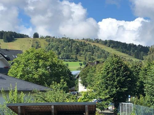 Apartamento Fewo Im Herzen Von Willingen