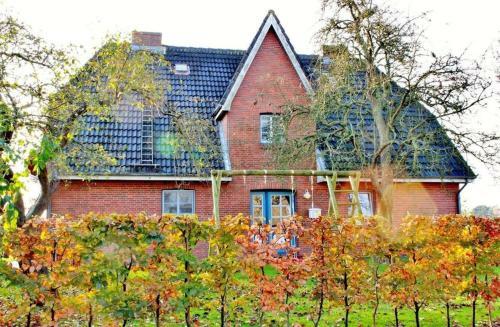 Apartamento F�hrzeit
