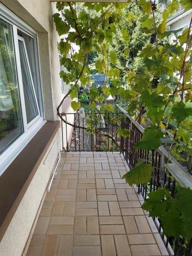 Apartamento Ferienwohnung Schamne
