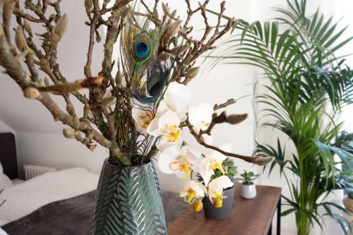 Apartments An Der Universit�t
