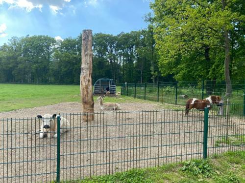 Poppes Ranch Bauerhof & Campingpl�tze